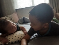 기사이미지