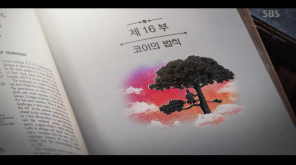 '코이의 법칙', 낭만닥터 김사부2 최종회 부제…시즌3 이어질까-비즈엔터