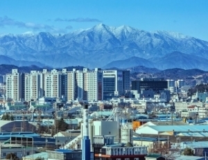 기사이미지